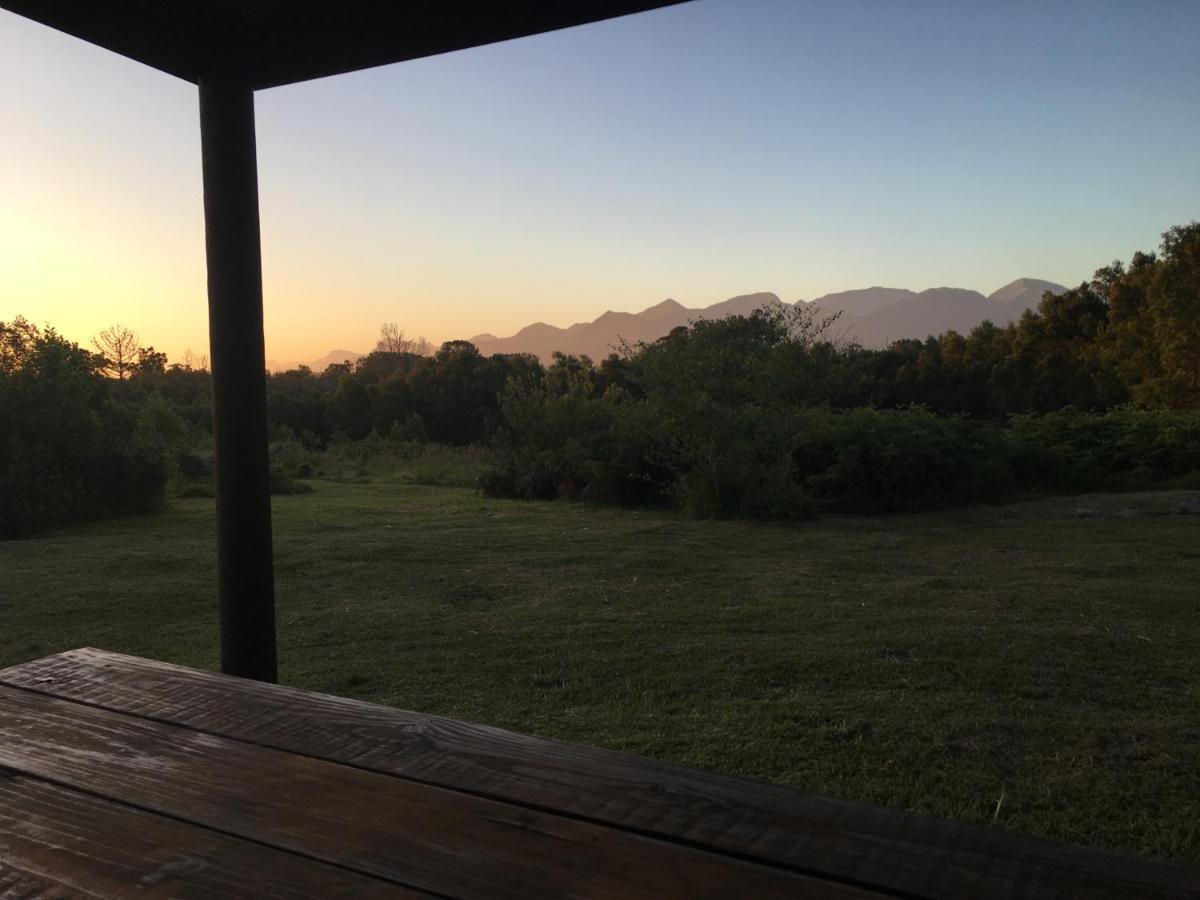Pura Vida Forest Cabin Witelsbos المظهر الخارجي الصورة